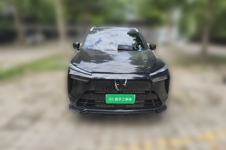 Used Wey Lanshan 2023 Four-Wheel Drive Ultra-Long Range Version Front