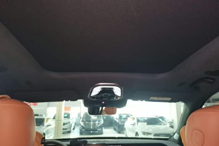 Used Wey Lanshan 2023 Four-Wheel Drive Ultra-Long Range Version Headliner