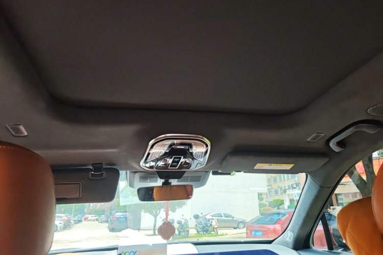 Used Wey Lanshan 2023 Four-Wheel Drive Ultra-Long Range Version Headliner