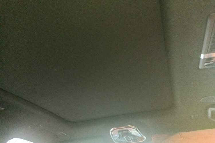 Used Wey Lanshan 2023 Two-Wheel Drive Long-Range Version Headliner