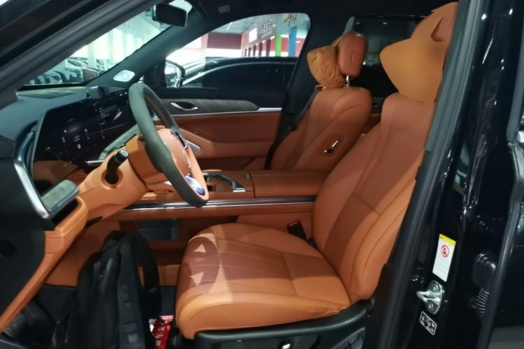 Used Wey Lanshan 2023 Four-Wheel Drive Ultra-Long Range Version Left Front Seat