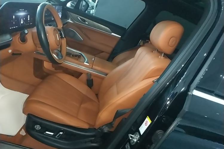 Used Wey Lanshan 2023 Four-Wheel Drive Ultra-Long Range Version Left Front Seat