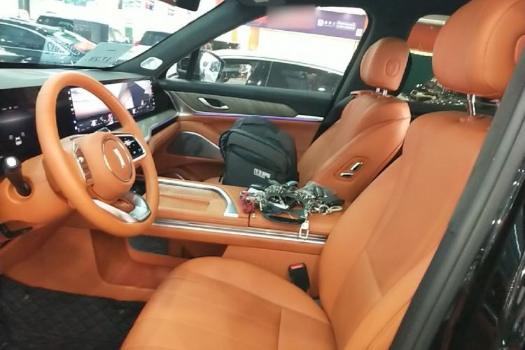 Used Wey Lanshan 2023 Four-Wheel Drive Ultra-Long Range Version Left Front Seat