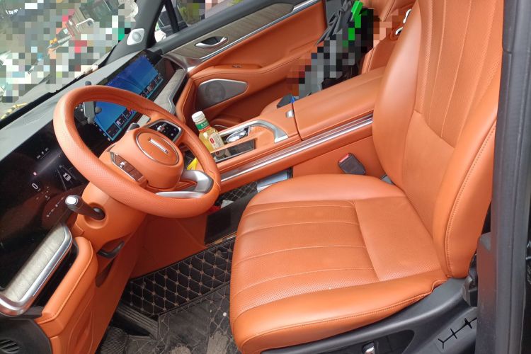 Used Wey Lanshan 2023 Four-Wheel Drive Ultra-Long Range Version Left Front Seat