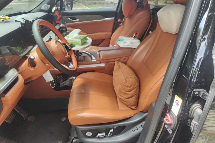 Used Wey Lanshan 2023 Four-Wheel Drive Ultra-Long Range Version Left Front Seat
