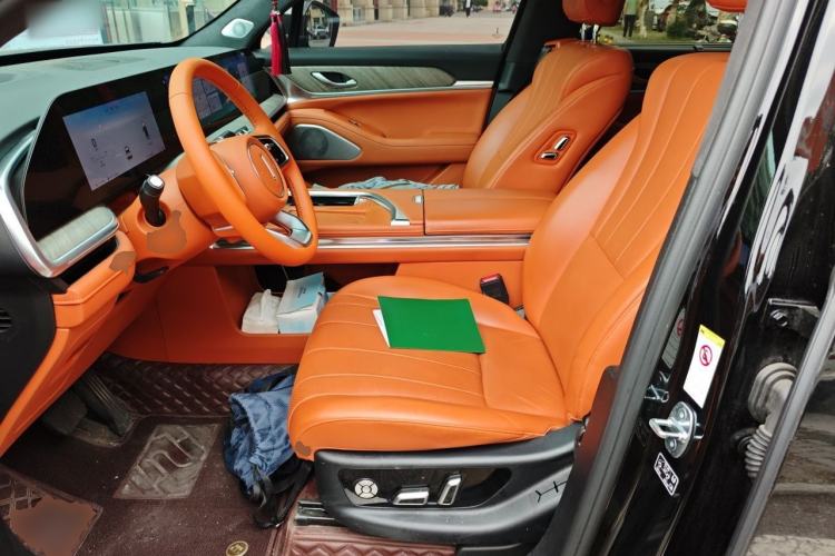 Used Wey Lanshan 2023 Four-Wheel Drive Ultra-Long Range Version Left Front Seat