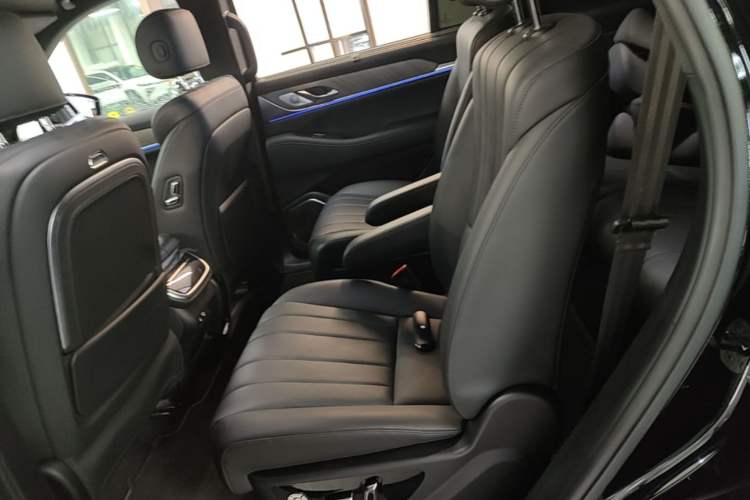Used Wey Lanshan 2023 Four-Wheel Drive Ultra-Long Range Version Left Rear Seat