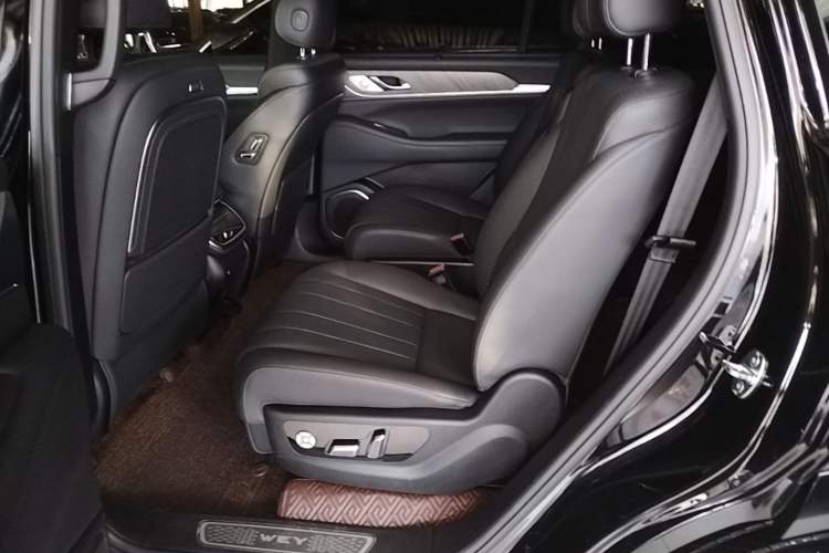 Used Wey Lanshan 2023 Four-Wheel Drive Ultra-Long Range Version Left Rear Seat
