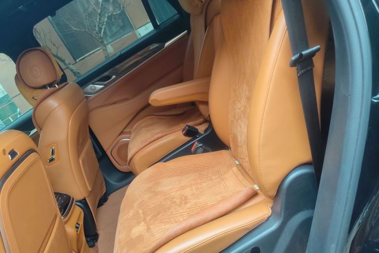 Used Wey Lanshan 2023 Four-Wheel Drive Ultra-Long Range Version Left Rear Seat