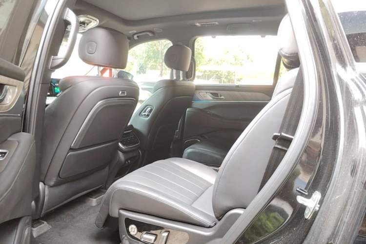 Used Wey Lanshan 2023 Four-Wheel Drive Ultra-Long Range Version Left Rear Seat