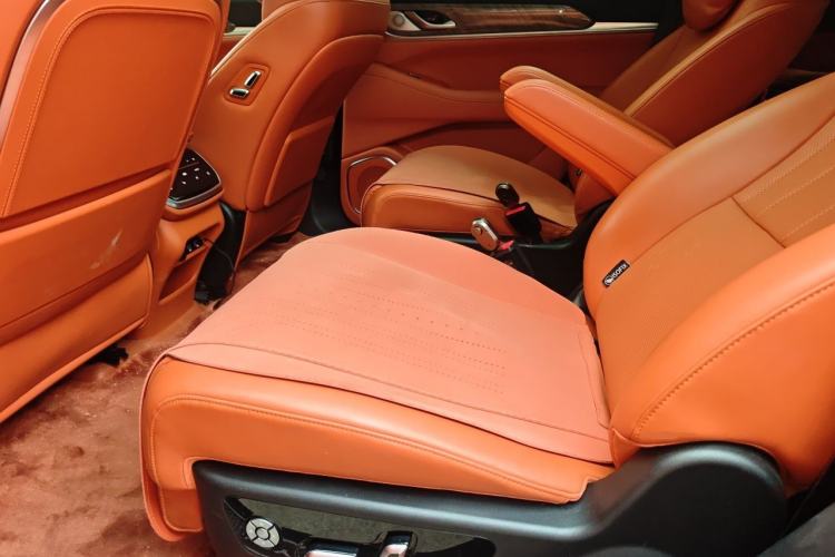 Used Wey Lanshan 2023 Four-Wheel Drive Ultra-Long Range Version Left Rear Seat