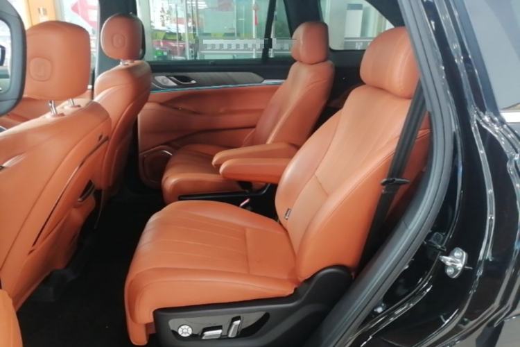 Used Wey Lanshan 2023 Four-Wheel Drive Ultra-Long Range Version Left Rear Seat