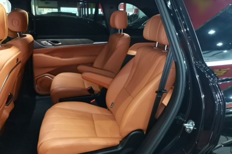 Used Wey Lanshan 2023 Four-Wheel Drive Ultra-Long Range Version Left Rear Seat