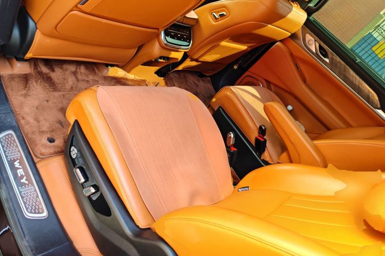 Used Wey Lanshan 2023 Four-Wheel Drive Ultra-Long Range Version Left Rear Seat