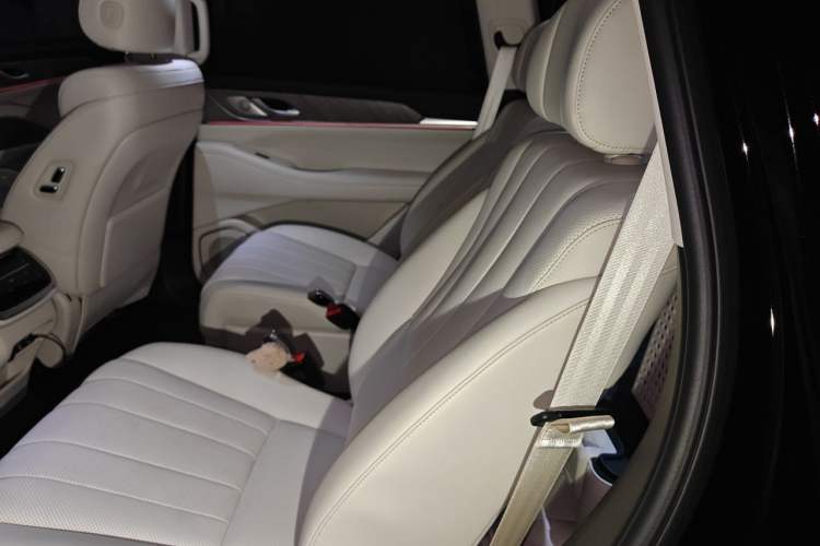 Used Wey Lanshan 2023 Four-Wheel Drive Ultra-Long Range Version Left Rear Seat