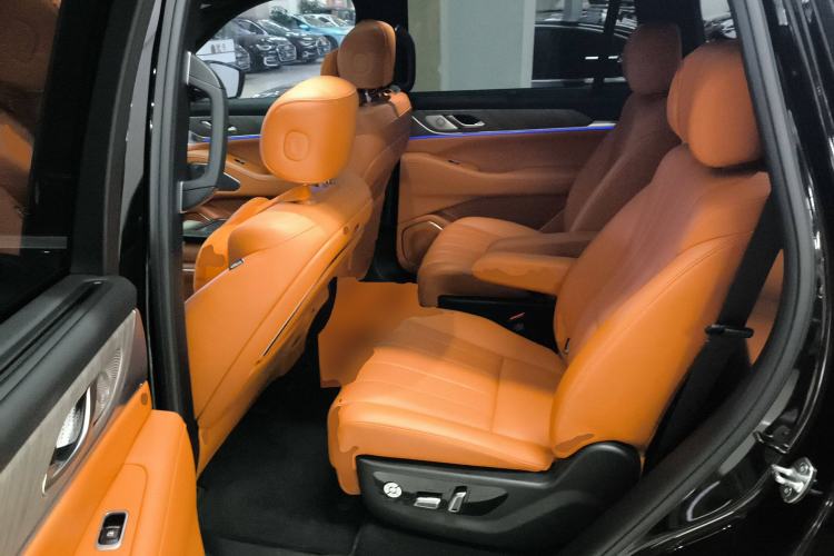 Used Wey Lanshan 2023 Four-Wheel Drive Ultra-Long Range Version Left Rear Seat