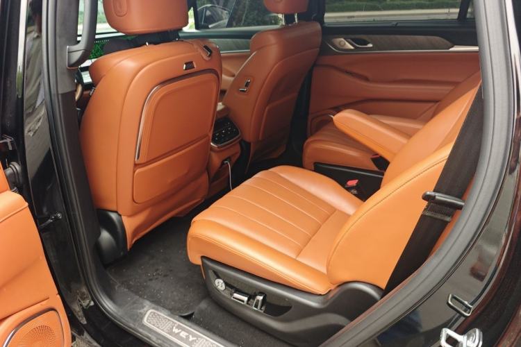 Used Wey Lanshan 2023 Four-Wheel Drive Ultra-Long Range Version Left Rear Seat
