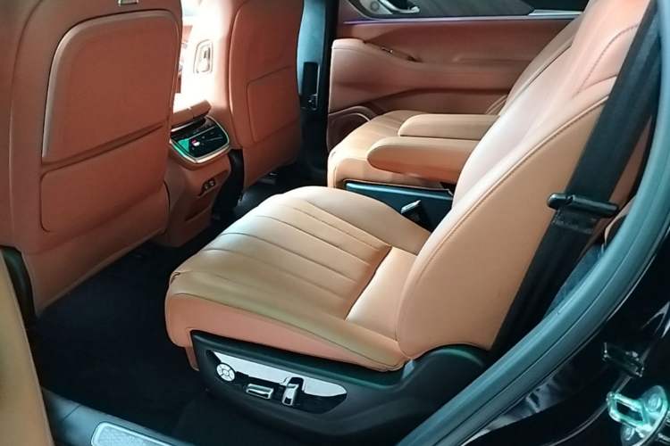 Used Wey Lanshan 2023 Four-Wheel Drive Ultra-Long Range Version Left Rear Seat