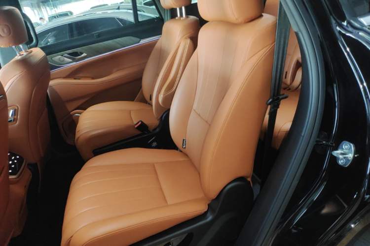 Used Wey Lanshan 2023 Four-Wheel Drive Ultra-Long Range Version Left Rear Seat