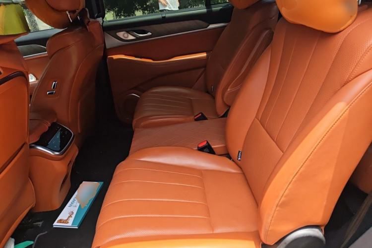 Used Wey Lanshan 2023 Four-Wheel Drive Ultra-Long Range Version Left Rear Seat