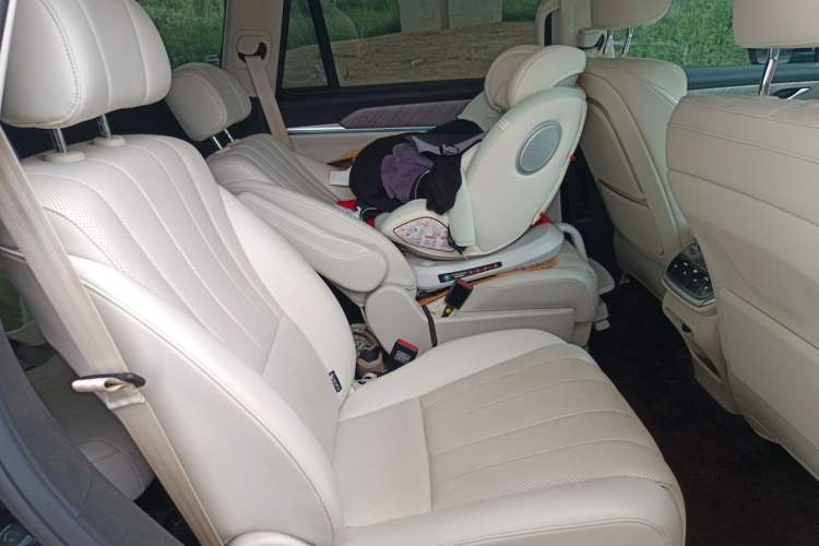 Used Wey Lanshan 2023 Four-Wheel Drive Ultra-Long Range Version Left Rear Seat