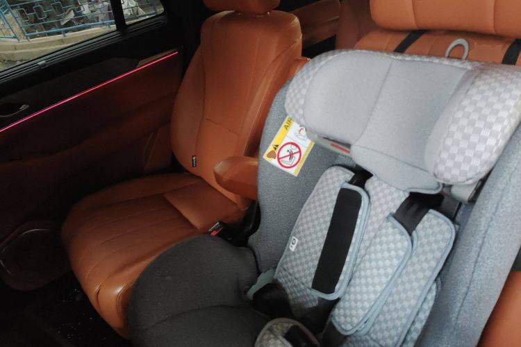 Used Wey Lanshan 2023 Four-Wheel Drive Ultra-Long Range Version Left Rear Seat