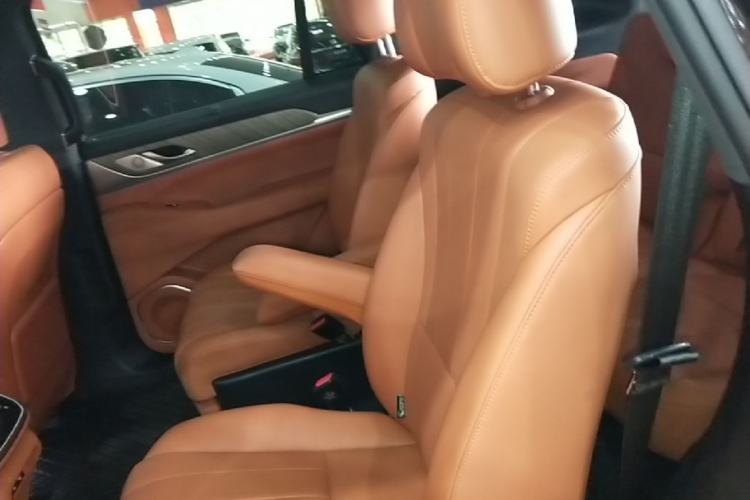 Used Wey Lanshan 2023 Four-Wheel Drive Ultra-Long Range Version Left Rear Seat
