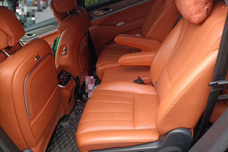 Used Wey Lanshan 2023 Four-Wheel Drive Ultra-Long Range Version Left Rear Seat