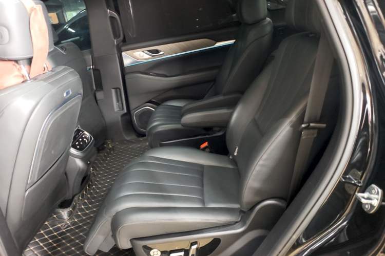 Used Wey Lanshan 2023 Four-Wheel Drive Ultra-Long Range Version Left Rear Seat