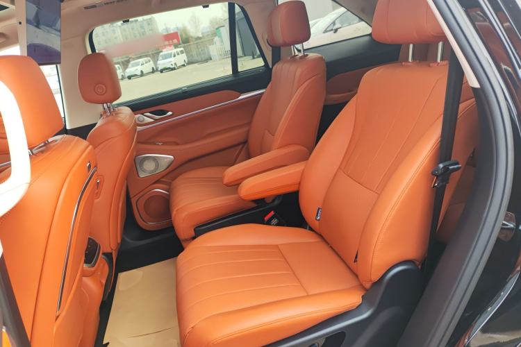 Used Wey Lanshan 2023 Four-Wheel Drive Ultra-Long Range Version Left Rear Seat