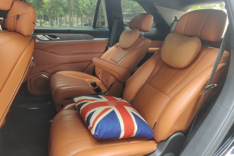 Used Wey Lanshan 2023 Four-Wheel Drive Ultra-Long Range Version Left Rear Seat