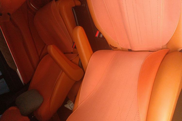 Used Wey Lanshan 2023 Two-Wheel Drive Long-Range Version Left Rear Seat