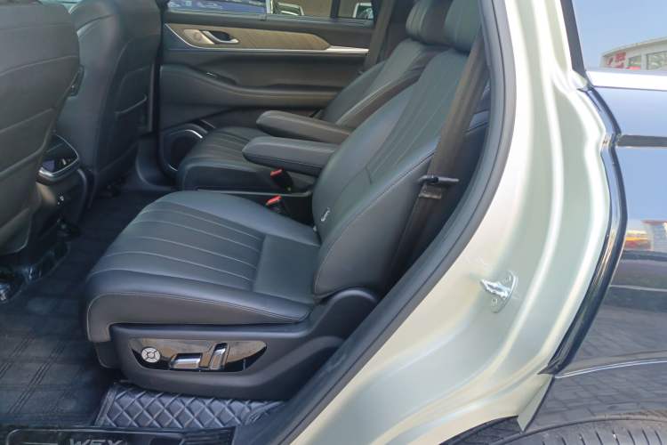 Used Wey Lanshan 2023 Two-Wheel Drive Long-Range Version Left Rear Seat