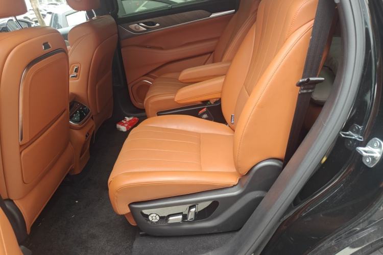 Used Wey Lanshan 2023 Four-Wheel Drive Ultra-Long Range Version Left Rear Seat