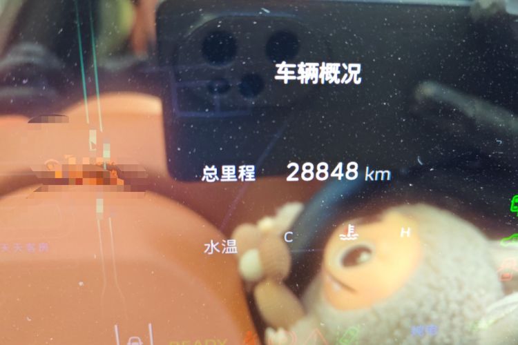 Used Wey Lanshan 2023 Four-Wheel Drive Ultra-Long Range Version Odometer Close Up
