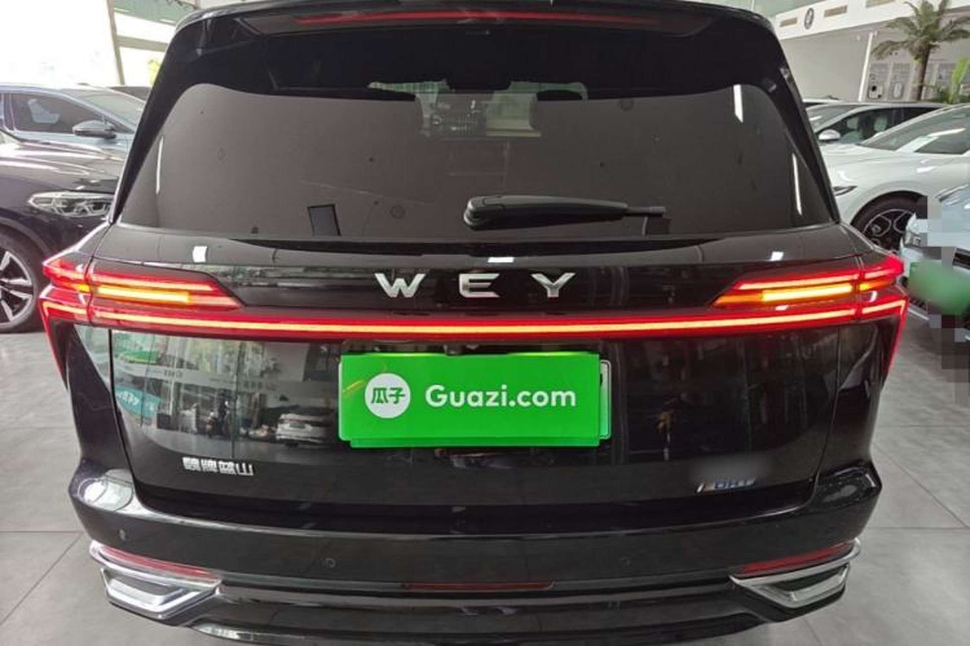Used Wey Lanshan 2023 Four-Wheel Drive Ultra-Long Range Version Rear