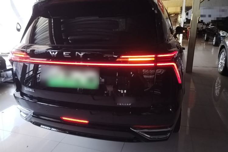 Used Wey Lanshan 2023 Four-Wheel Drive Ultra-Long Range Version Rear