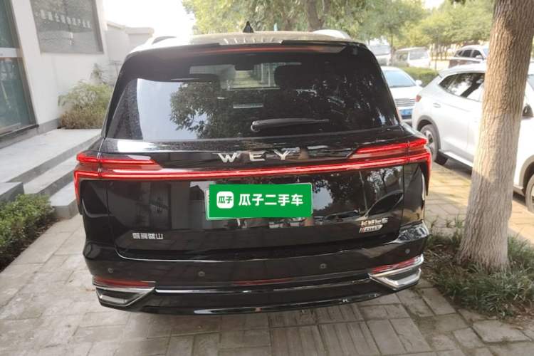 Used Wey Lanshan 2023 Four-Wheel Drive Ultra-Long Range Version Rear