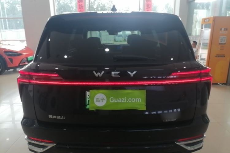 Used Wey Lanshan 2023 Four-Wheel Drive Ultra-Long Range Version Rear