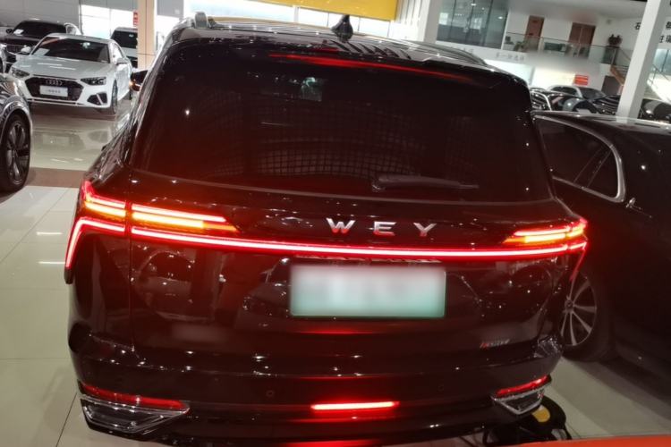 Used Wey Lanshan 2023 Four-Wheel Drive Ultra-Long Range Version Rear
