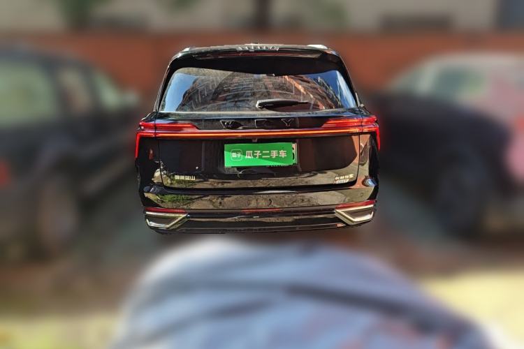 Used Wey Lanshan 2023 Four-Wheel Drive Ultra-Long Range Version Rear