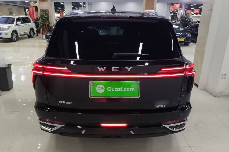 Used Wey Lanshan 2023 Four-Wheel Drive Ultra-Long Range Version Rear