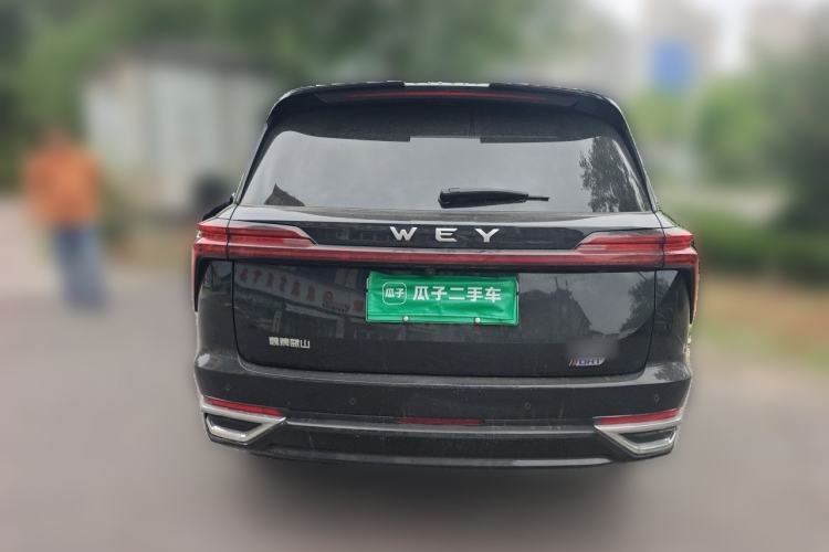 Used Wey Lanshan 2023 Four-Wheel Drive Ultra-Long Range Version Rear