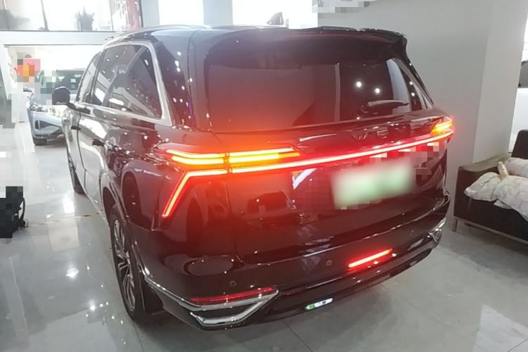 Used Wey Lanshan 2023 Four-Wheel Drive Ultra-Long Range Version Rear Left 45 Deg