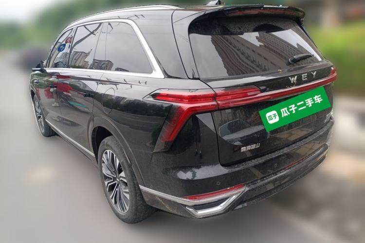 Used Wey Lanshan 2023 Four-Wheel Drive Ultra-Long Range Version Rear Left 45 Deg