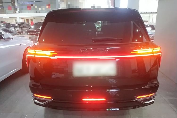 Used Wey Lanshan 2023 Four-Wheel Drive Ultra-Long Range Version Rear
