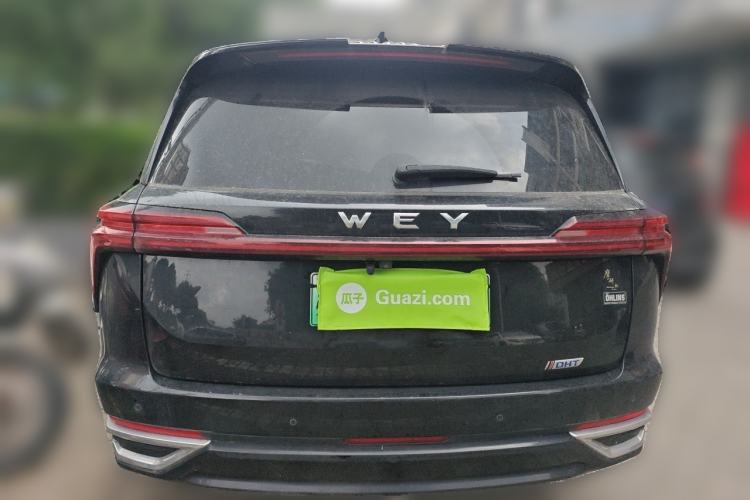 Used Wey Lanshan 2023 Four-Wheel Drive Ultra-Long Range Version Rear