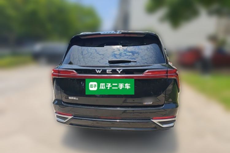 Used Wey Lanshan 2023 Four-Wheel Drive Ultra-Long Range Version Rear