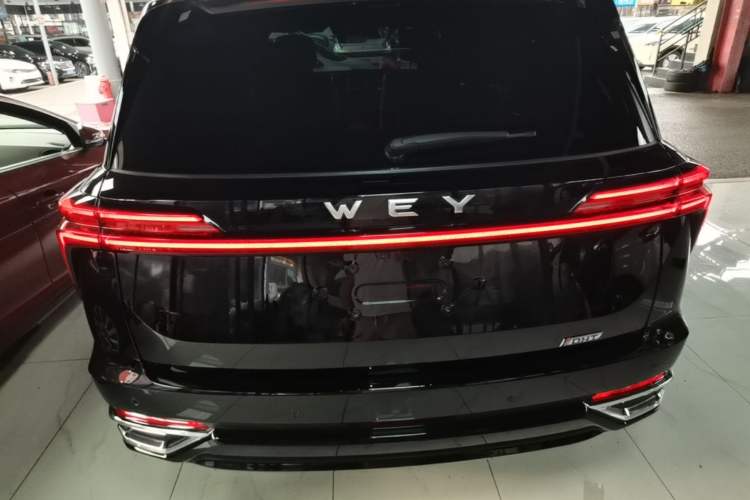 Used Wey Lanshan 2023 Four-Wheel Drive Ultra-Long Range Version Rear