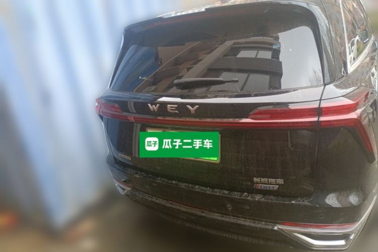 Used Wey Lanshan 2023 Two-Wheel Drive Long-Range Version Rear